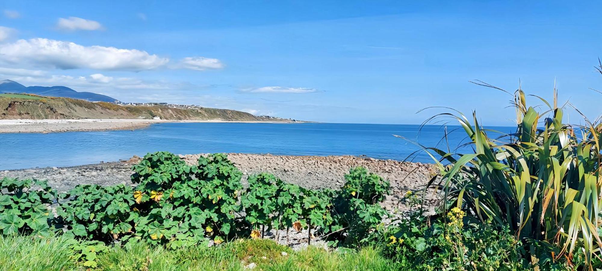 The Beach House Newry Bagian luar foto